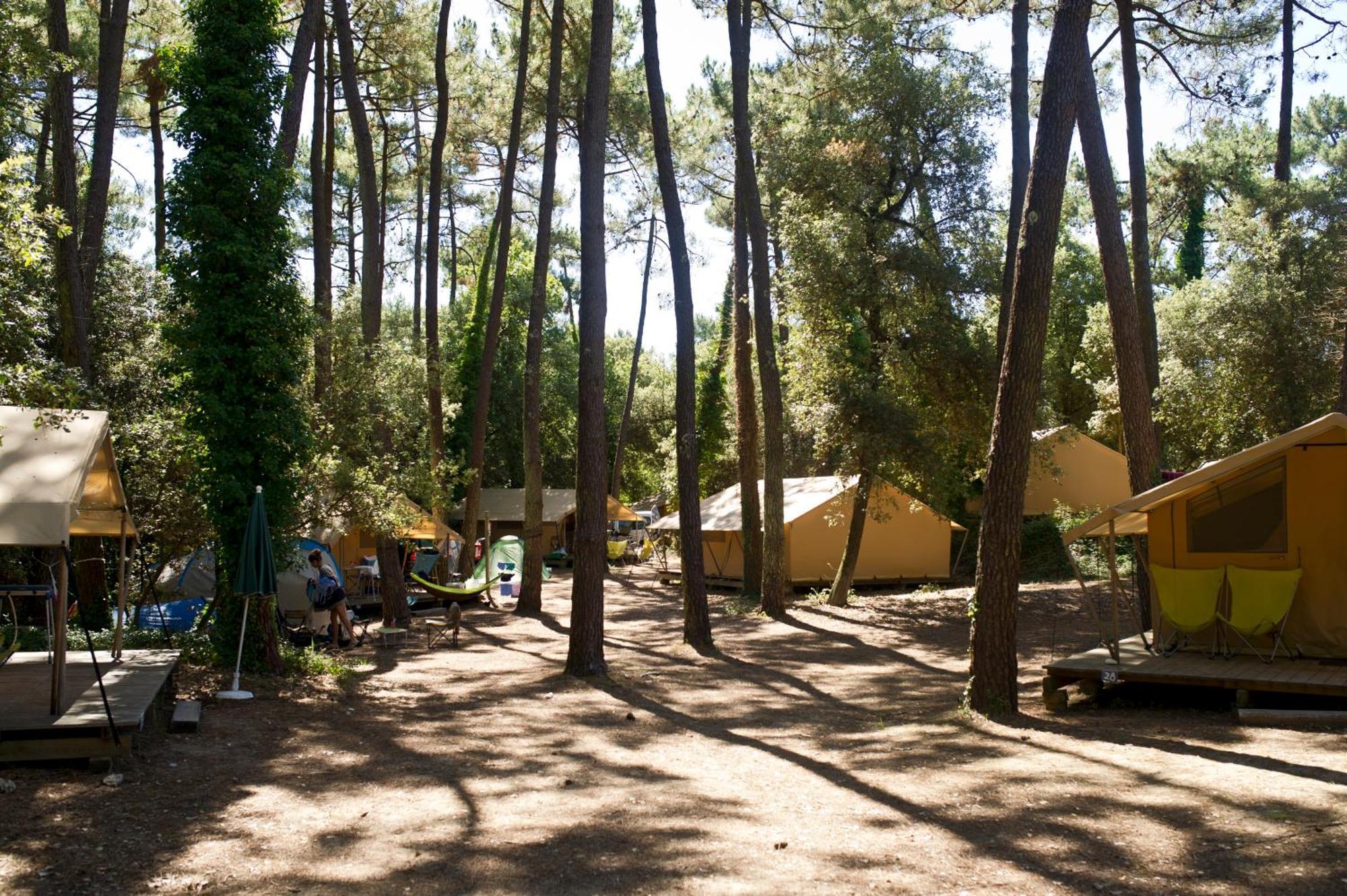 Huttopia Oleron Les Chenes Verts Dolus-d'Oleron Bilik gambar