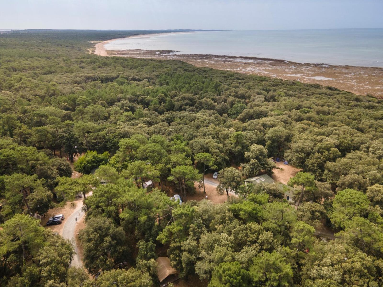 Huttopia Oleron Les Chenes Verts Dolus-d'Oleron Luaran gambar